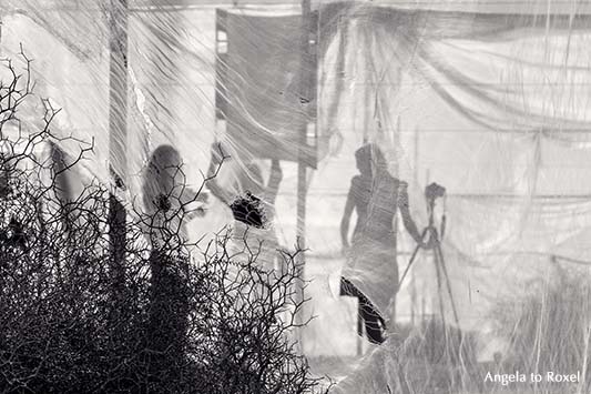 Silhouetten von drei Fotografinnen während eines Shootings hinter einem Schleier in einem Tomatenzelt in Andalusien, Kamera, Stativ und Reflektor