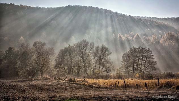 Landschaftsbild: Wenn der Herbst kommt, Strahlen der Herbstsonne im Weserbergland, Gegenlichtaufnahme | Ihr Kontakt: Angela to Roxel