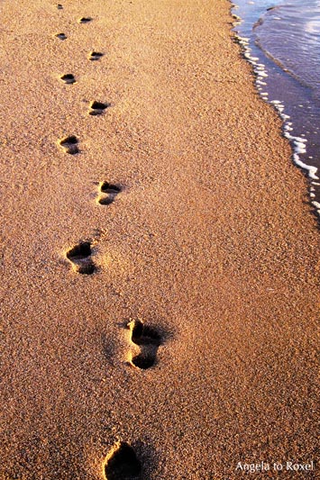 Fußspuren am Strand, Fußabdrücke im Sand, ein Mensch geht und hinterlässt Spuren, Abendstimmung am Strand, Rotes Kliff auf Sylt