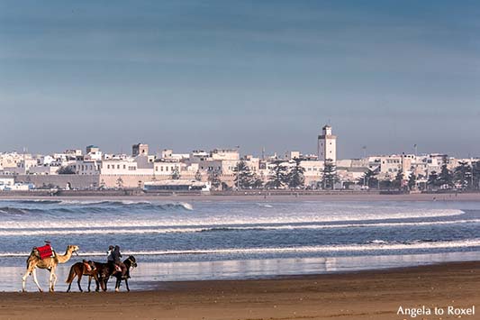 Die Karawane zieht ... in die weiße Stadt Essaouira