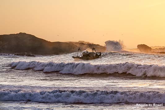 Fotografien kaufen: Coming home, Fischerboot in der Brandung bei Sonnenuntergang, Einfahrt in den Hafen, Essaouira, Marokko | Kontakt: Angela to Roxel