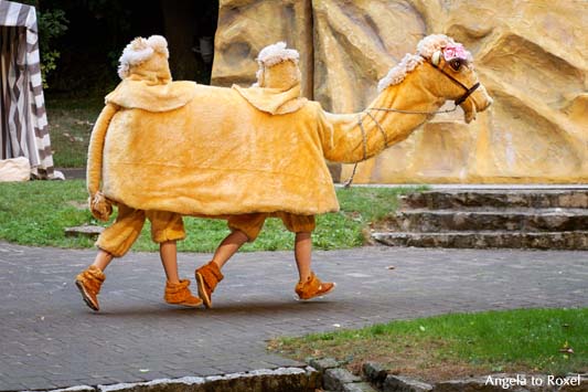 Fotografie: Meilenweit: ein Kamel, vier Beine auf der Bühne, Theaterstück "Sindbad, der kleine Seefahrer" Freilichtbühne Bökendorf 2013 - A. to Roxel