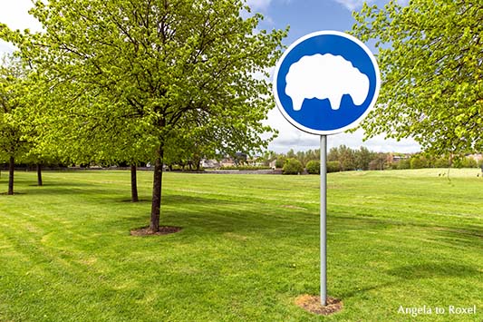 Sheep only, Schild, weidende Schafe, auf einer frisch gemähten Wiese, Parkanlage in Dublin, Irland | Ihr Kontakt: Angela to Roxel