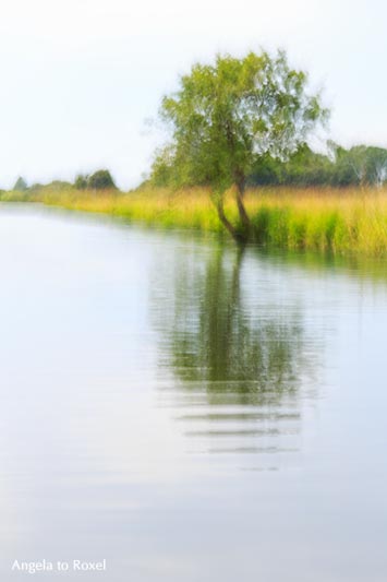 Kunstfotografie: Worpswede an der Hamme, Impression mit Baum, Teufelsmoor, Langzeitbelichtung in Wischtechnik | Ihr Kontakt: Angela to Roxel