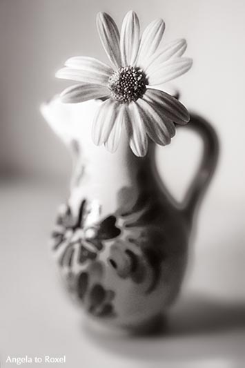 Blume, Wiesenblume in einer kleinen Vase, geringe Schärfentiefe, monochrom, analog | Ihr Kontakt: Angela to Roxel