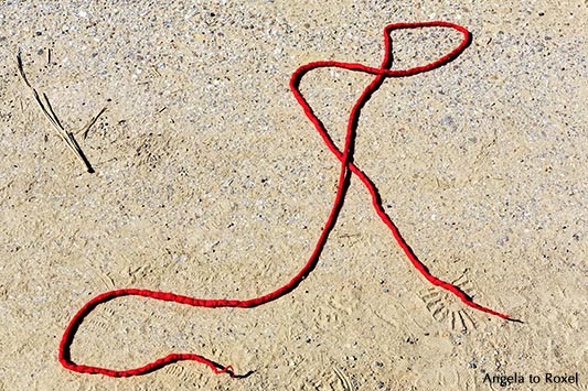 Fotografie: Der rote Faden (ging verloren), roter Faden liegt verschlungen auf dem Boden, Symbol, Objektfotografie, Stockfoto, Bildlizenz erwerben