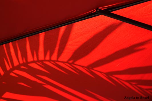 Kunstfotografie: Le Rouge et le Noir, sunshade, unter einem roten Sonnenschirm, Schatten einer Palme, rot und schwarz | Kontakt: A. to Roxel