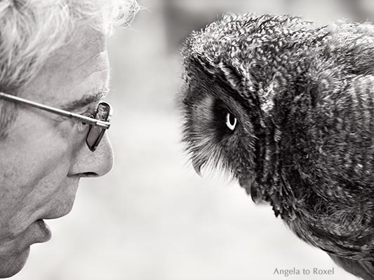 Der Falkner Ludger Kluthausen und einer seiner Bartkäuze (Strix nebulosa) im Gespräch, close-up, monochrom, Falknerei Kasselburg, Vulkaneifel 2015