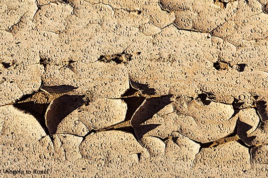 Spuren von Regentropfen und Trockenrisse im Boden nach der Überschwemmung in Andalusien - Almeria, Oktober 2013