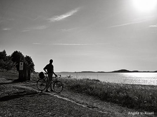 Biker on Mönchsgut, looking back, black and white, backlight, Rügen