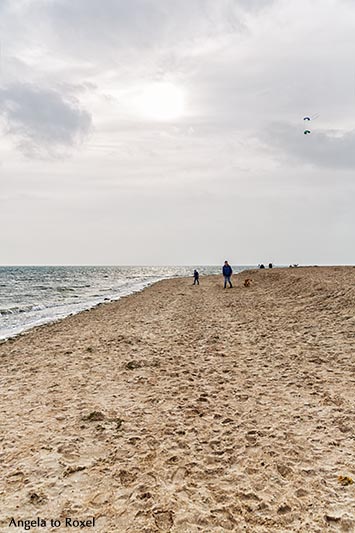 Fotografie: Herbsttag am Strand, Gegenlicht, Wyk auf Föhr, Nordfriesland, Schleswig-Holstein | Ihr Kontakt: Angela to Roxel