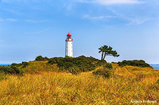 Fotografie: Leuchtturm, Leuchtfeuer Dornbusch auf dem Schluckswiek, dem so genannten Hochland der Insel Hiddensee, Mecklenburg-Vorpommern - Bildlizenz