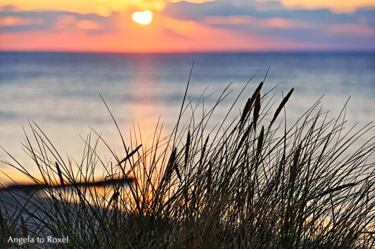 Sonnenuntergang über der Nordsee, Dünengras im Vordergrund, Abendstimmung in Wenningstedt, Sylt, Schleswig-Holstein 2015