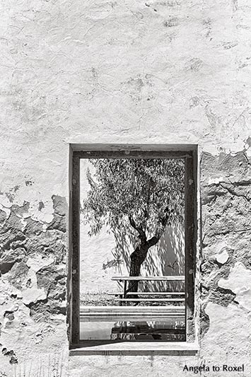 Fotografien kaufen: Baum im Innenhof der Bibliothek von Tavira. Durch das Fenster in einer Mauer sieht man einen Baum, schwarzweiß - Taviara, Algarve