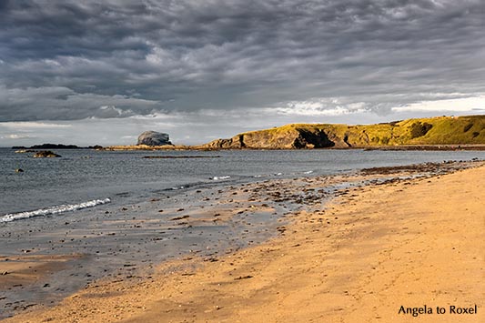 Landschaftsbild: Bucht von North Berwick mit dem Vogelfelsen Bass Rock im Firth of Forth,, Abendlicht am Strand, East Lothian, Schottland