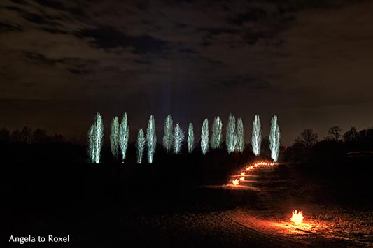 Beleuchtete Pappeln in der Nacht, Weihnachtszeit, Museumsadvent im Paderborner Dorf, Weg mit Fackeln im Freilichtmuseum Detmold, Dezember 2012