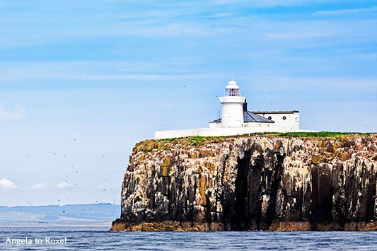 Weißer Leuchtturm auf den Farne Islands, Inner Farne Lighthouse, auch High Light genannt, Northumberland - England 2015