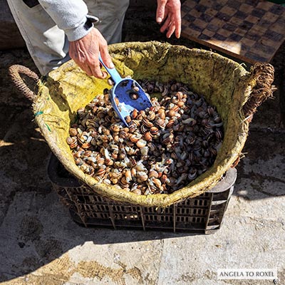 Mann bietet Schnecken zum Verkauf an, auf einem Markt in der Medina, Altstadt von Fès, Marokko 2013