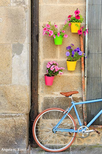 Fahrrad, hellblaues Rennrad an einer Hauswand mit bunten Blumentöpfen, Santiago de Compostella | Ihr Kontakt - Angela to Roxel