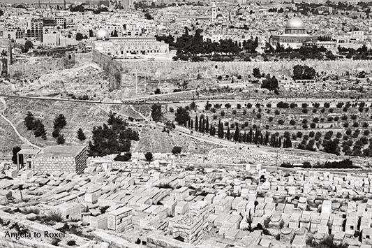 Aussicht vom Ölberg, Blick über eine jüdischen Friedhof und das Kidrontal auf den Felsendom und den Tempelberg, analog, schwarzweiß - Israel 1980