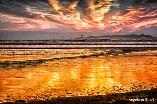 Fotografie: Abendstimmung an der Plage Tagharte mit Blick auf die Insel Mogador, Iles Purpuraires, Küste von Essaouira, Marokko 2014 - Bildlizenz