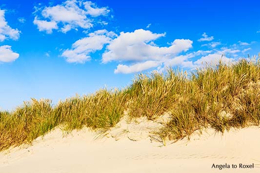 Fotografie: Cumuluswolken über Dünen an der Nordsee, Dünen am Strand von Kampen auf Sylt, Schleswig-Holstein - Landschaftsbild, Bildlizenz, Stockfoto