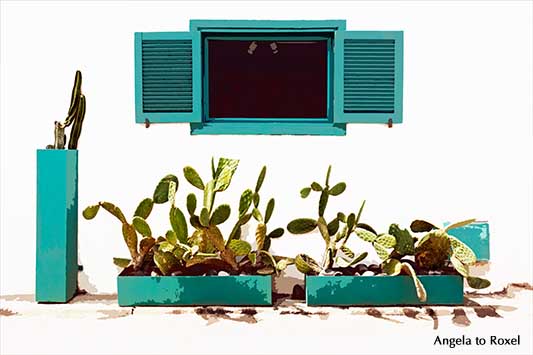 Opuntien (Opuntia) in Kübeln vor einer Hauswand in Las Negras, Cabo de Gata, Andalusien - Kunstfotografie kaufen | Ihr Kontakt: Angela to Roxel