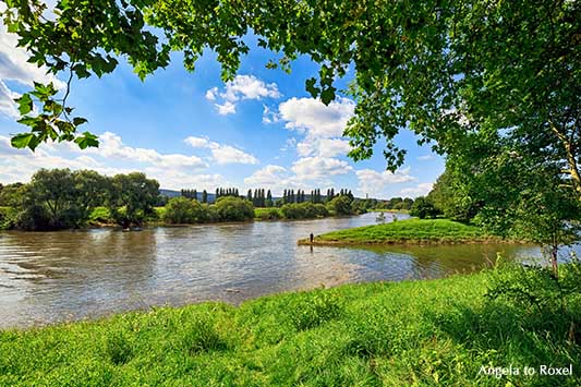 Blick auf die Weser im Sommer, Weserradweg R1 in Höxter, Nähe Schloss Corvey, Weserbergland - Ihr Kontakt: Angela to Roxel