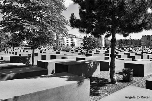 Radfahrer im Stelenfeld, Denkmal für die ermordeten Juden Europas, Holocaust-Mahnmal in Berlin-Mitte, schwarzweiß, - Ihr Kontakt: Angela to Roxel