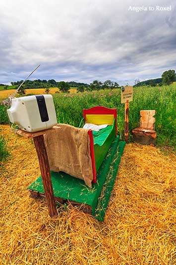 Buntes Bett aus Holz auf Stroh, Schlafmohnfeld in Grandenborn, Fernseher mit Antenne, Wanderweg, Mohnblüte im Geo-Naturpark Frau-Holle-Land | A. to Roxel