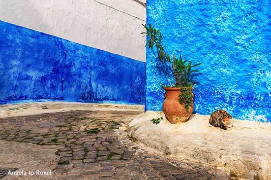 Blaue Wand mit Katze in den Gassen der Altstadt von Rabat, Kasbah des Oudaias, Marokko | Fotografien kaufen - Ihr Kontakt: Angela to Roxel