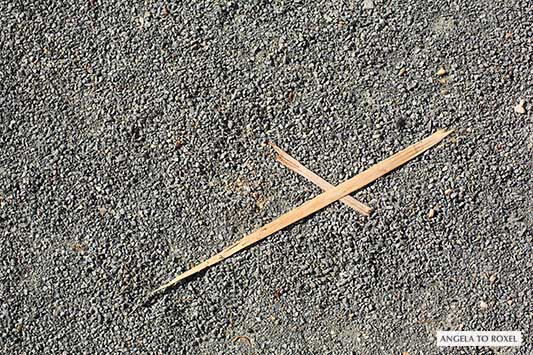 Buchstabe X, Holzreste als Kreuz auf dem Boden, Buchstaben in der Umgebung sehen, Vorlage für ein Foto-Puzzle, Scrabble - Angela to Roxel | Fotografie