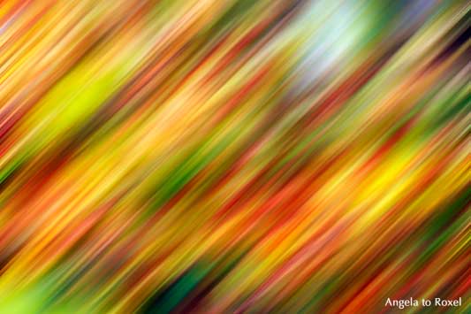 Verschiedenfarbiges Herbstlaub im Sonnenlicht, diagonales Panning, Wischtechnik, Mitzieher, Hintergrund, Streifen, Muster - Angela to Roxel