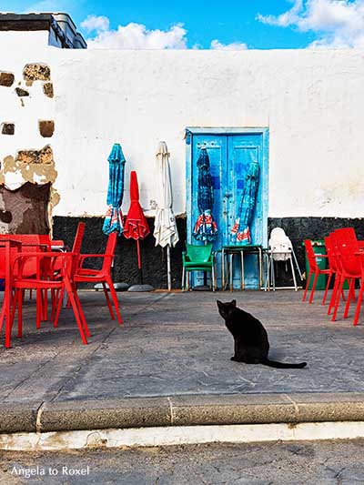 Schwarze Katze sitzt am frühen Morgen auf einer menschenleeren Terrasse in Arrieta, Lanzarote, Kanarische Inseln | Fotografien kaufen - Angela to Roxel